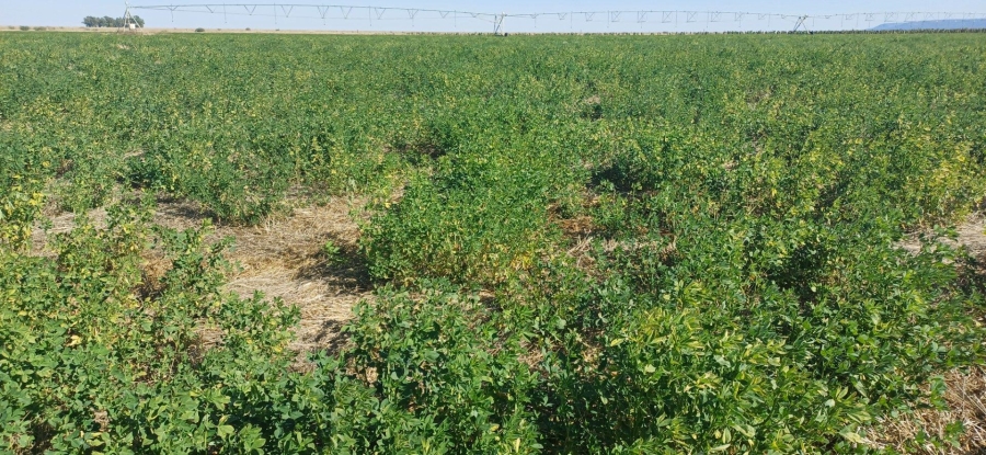 0 Bedroom Property for Sale in Klerksdorp Rural North West